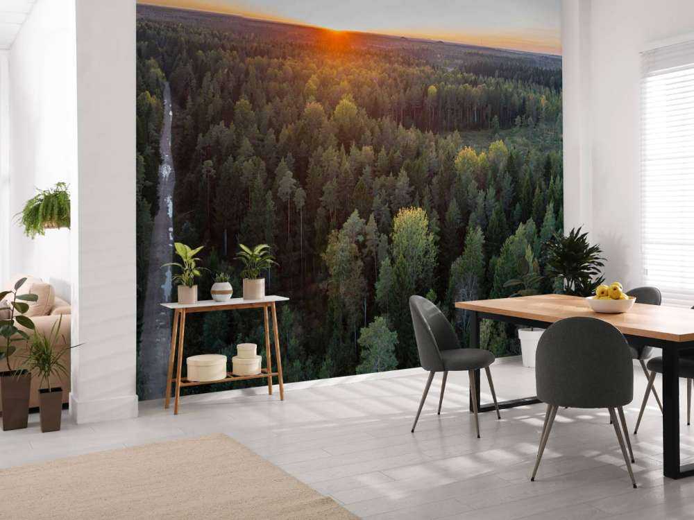 Flygfoto av höstträd