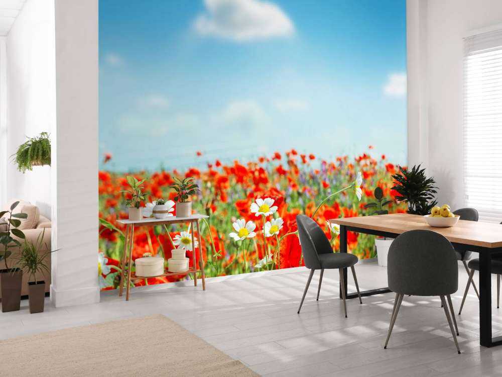 Vallmor och prästkragar