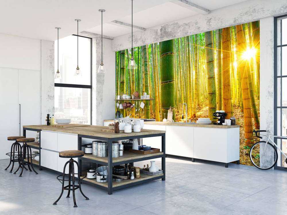 Bambuskog i soluppgång