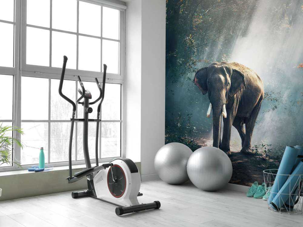 Elefant i en djungel