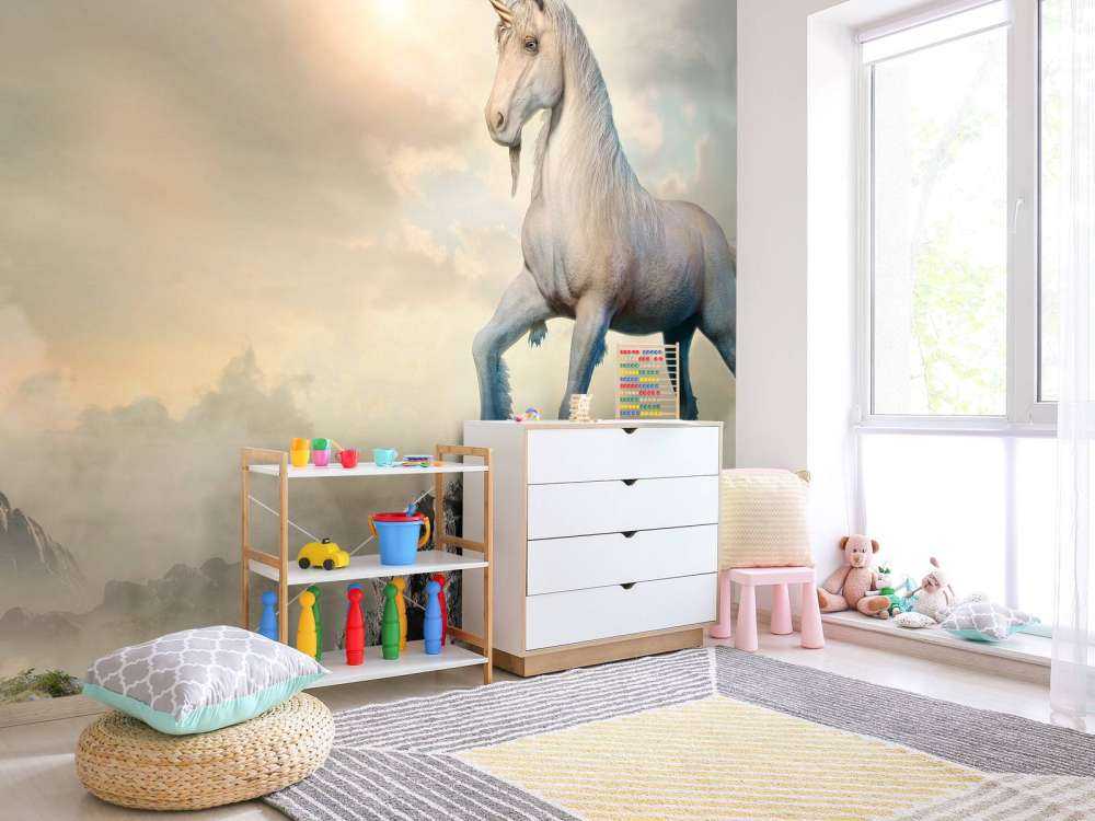 Enhörning på stenar