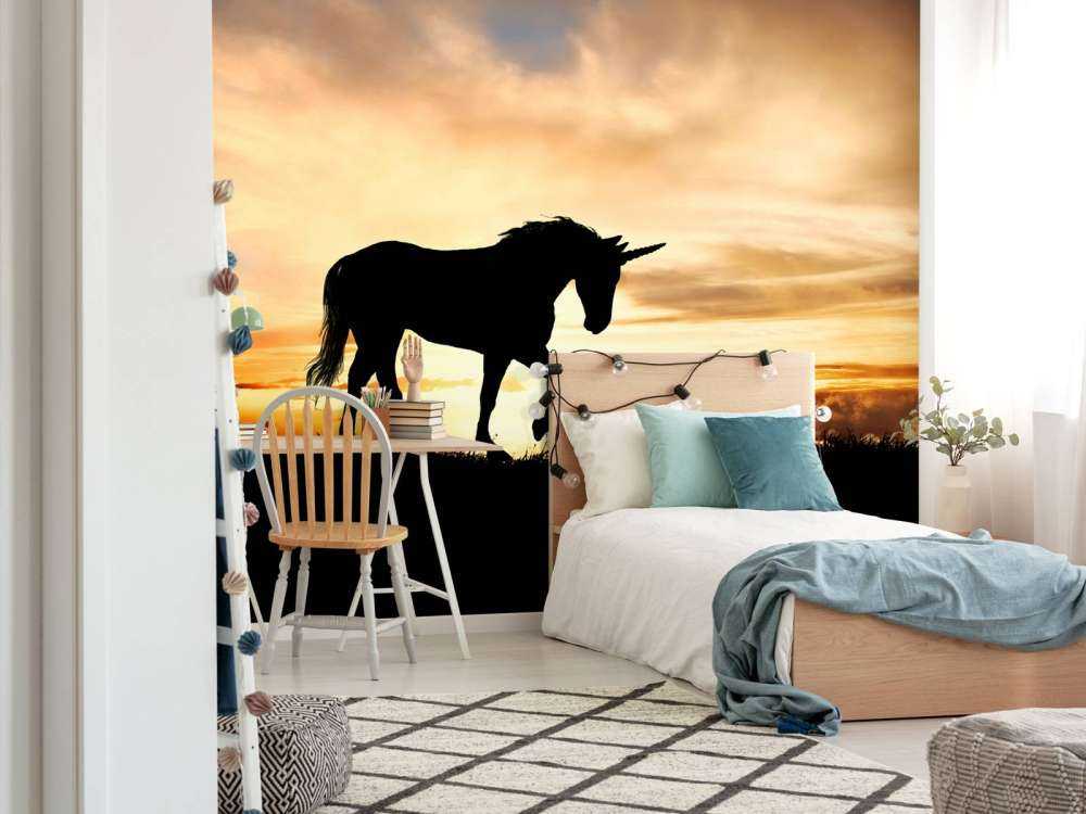 Enhörning siluett i solnedgången