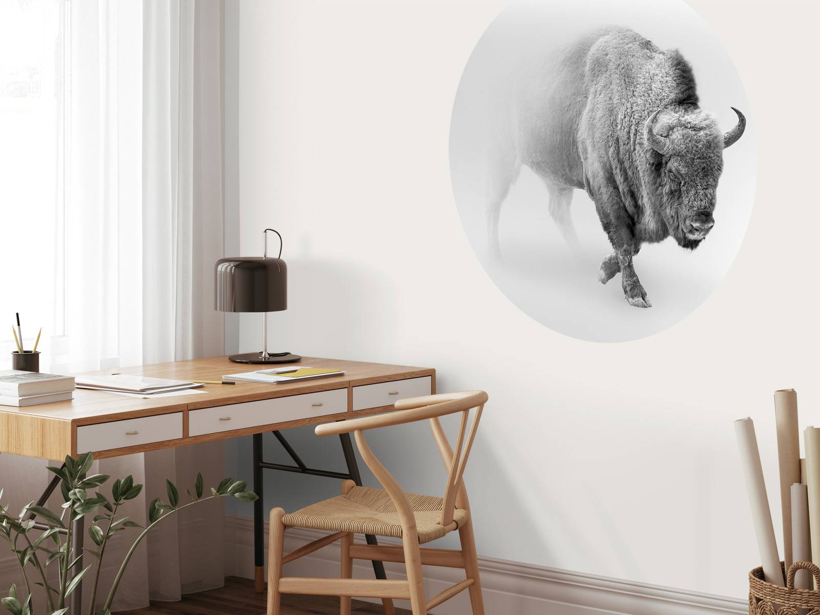 Bison svart, vit