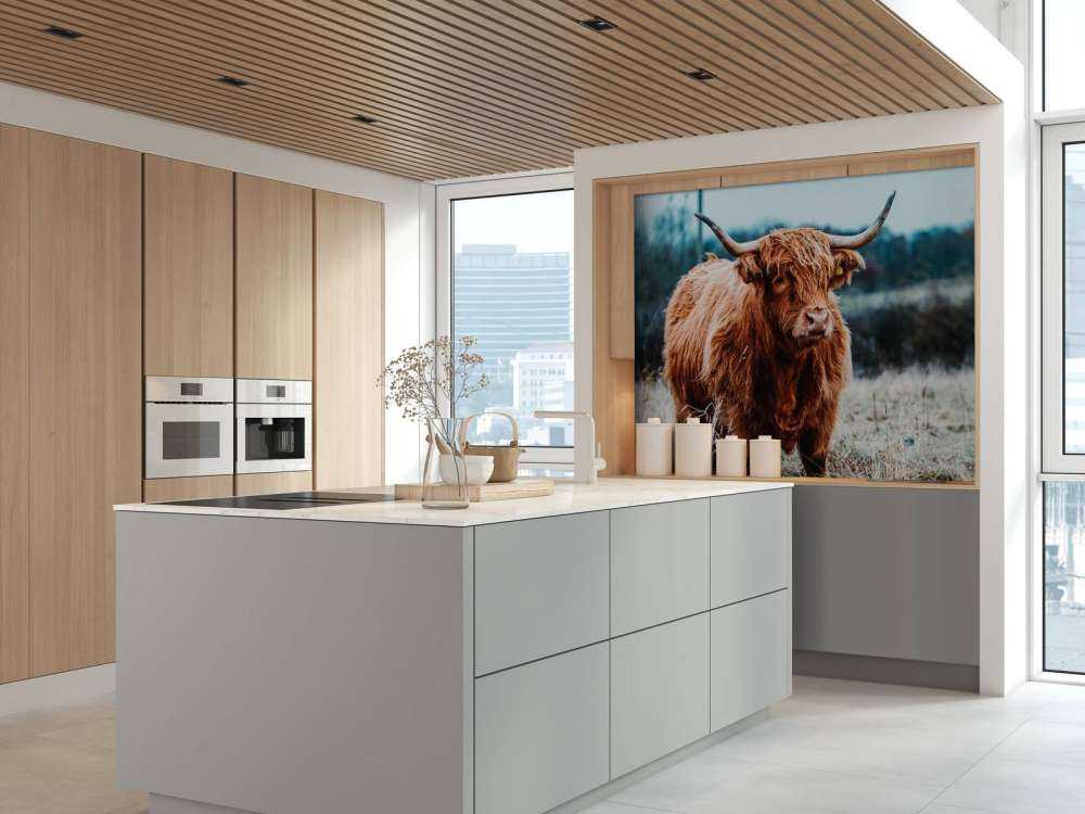 Skotsk hoglandare i skogen