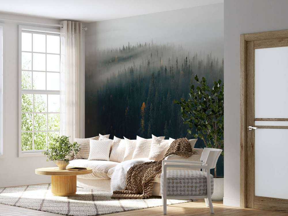 Dimma skog