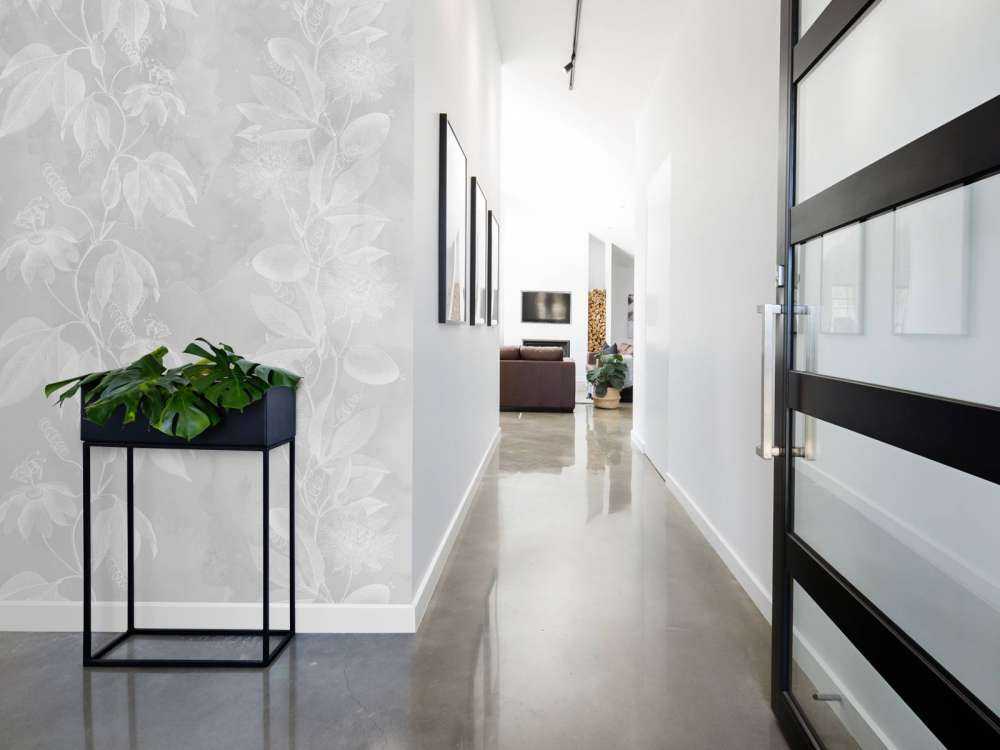 Passiflora 7