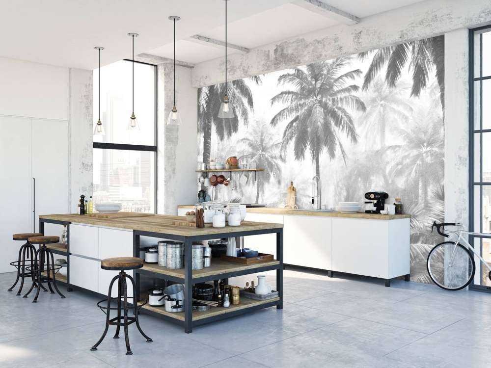 Dimma Palmskog