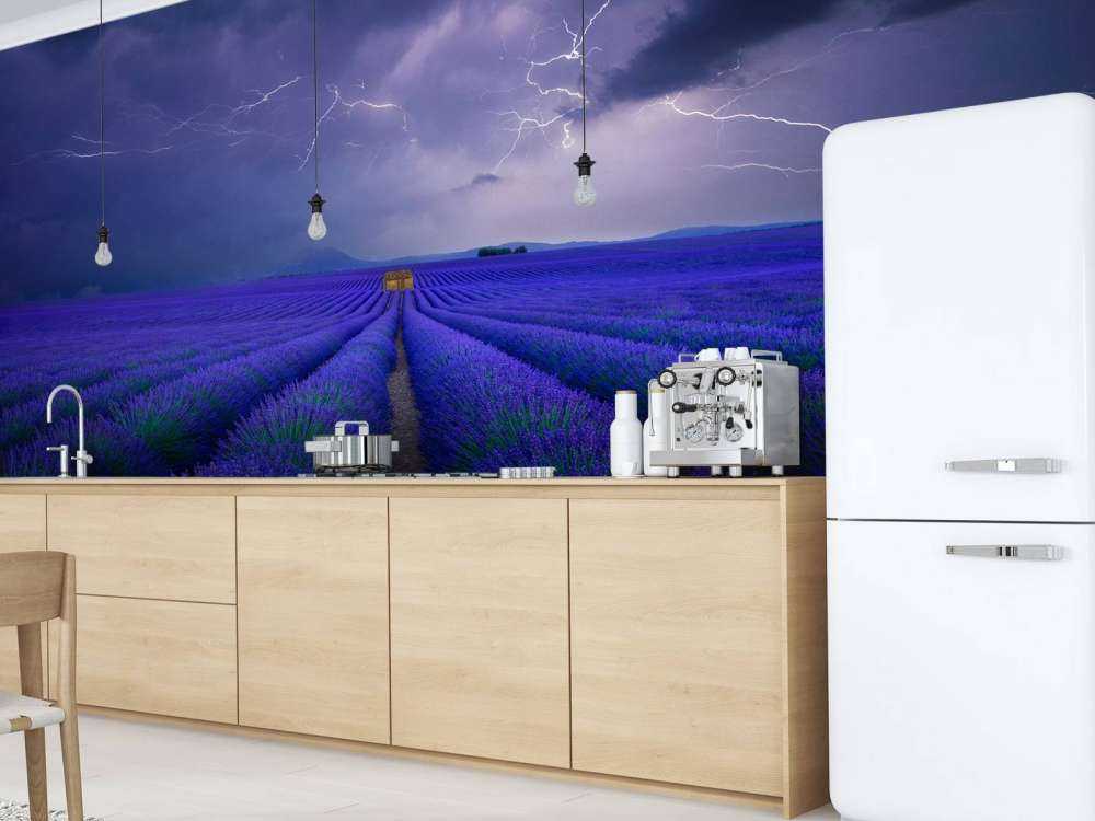 Wetter im Lavendelfeld