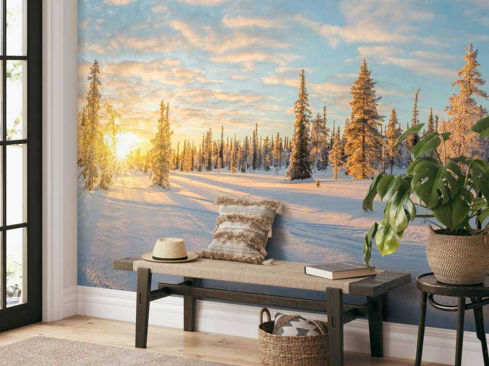 Snølandskapp ved solnedgang