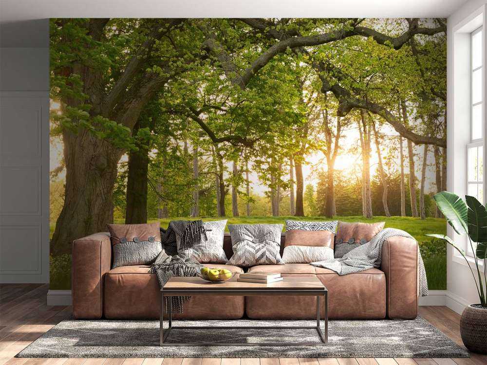 Åpen plass i skogen