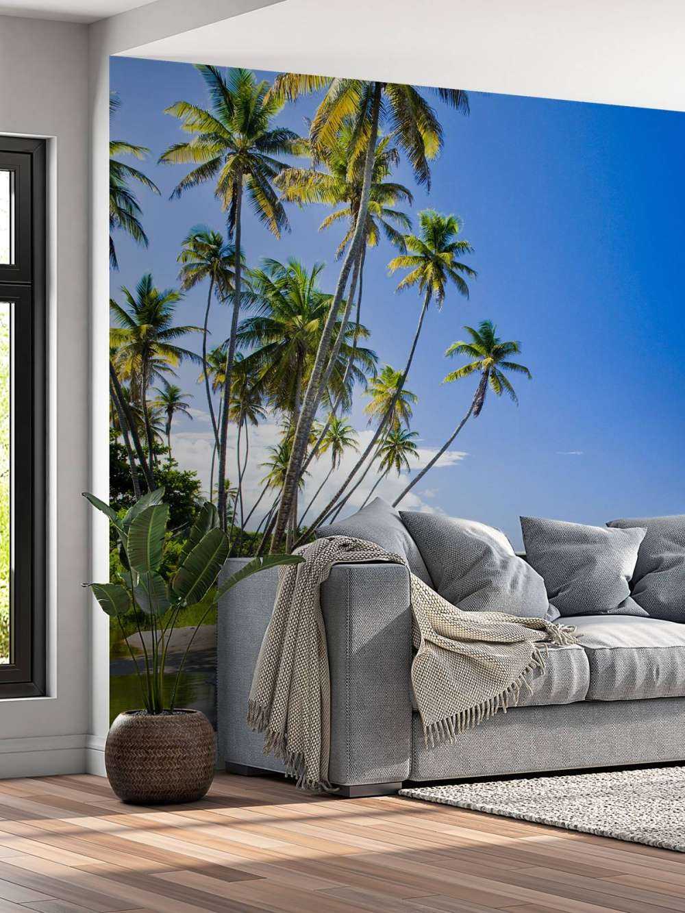 Nordkysten av Trinidad