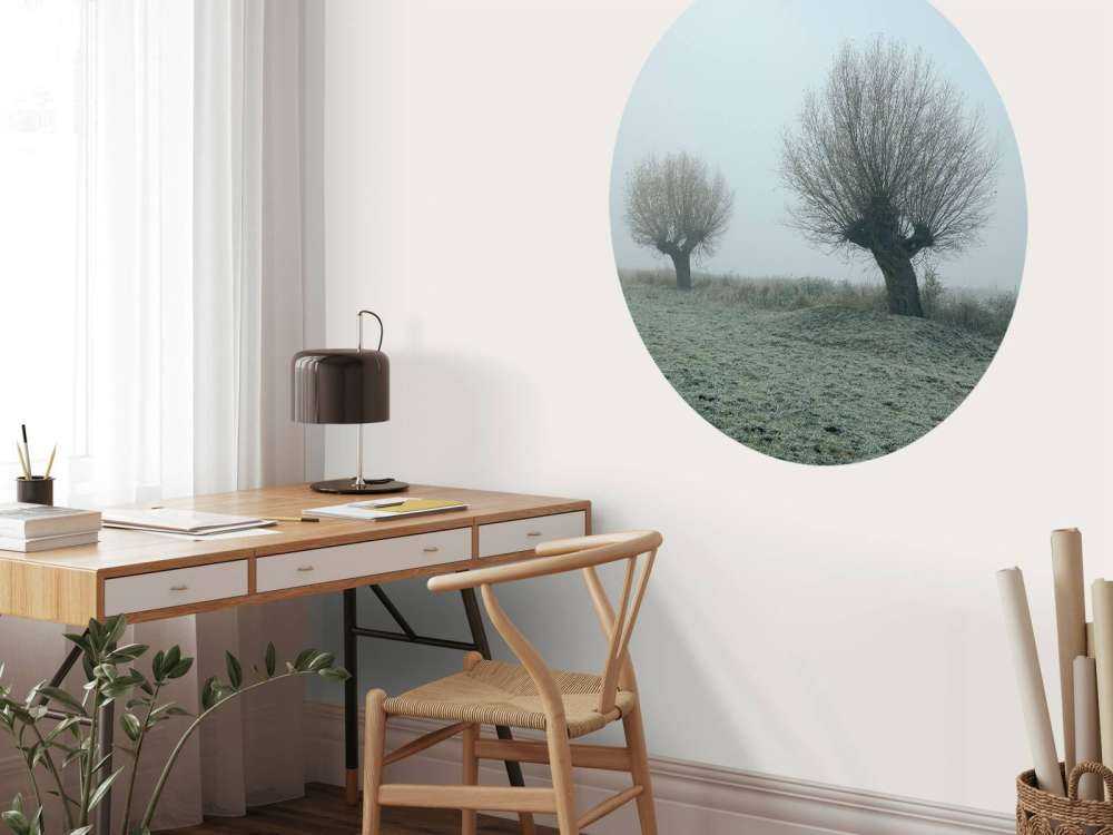 Pollard pil i tåken