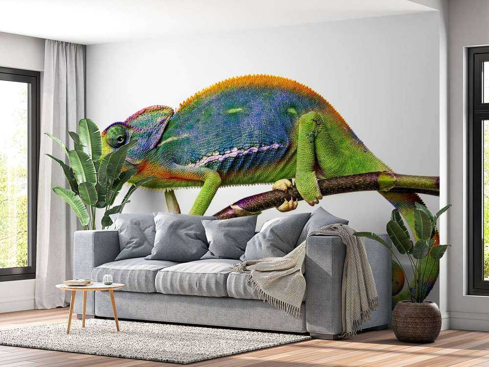 Kameleon