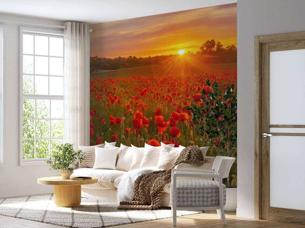 Blomstrende valmuemarked