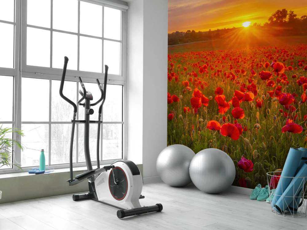 Blomstrende valmuemarked