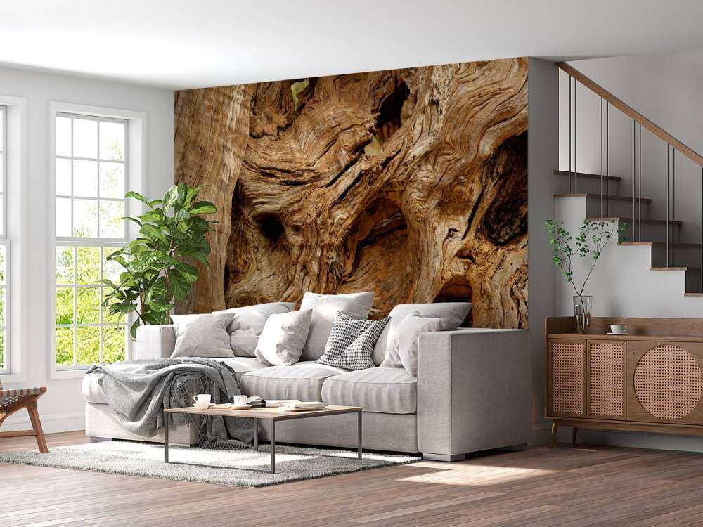 Lukk opp gammelt treverk