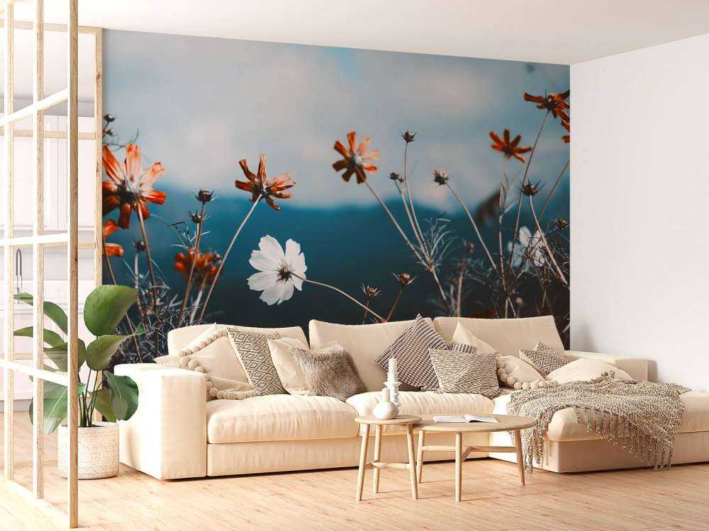 Kosmosblomster i marka