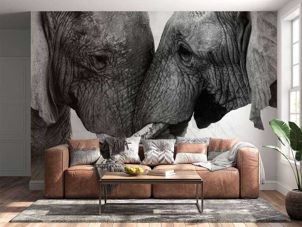 Fototapet elefanter