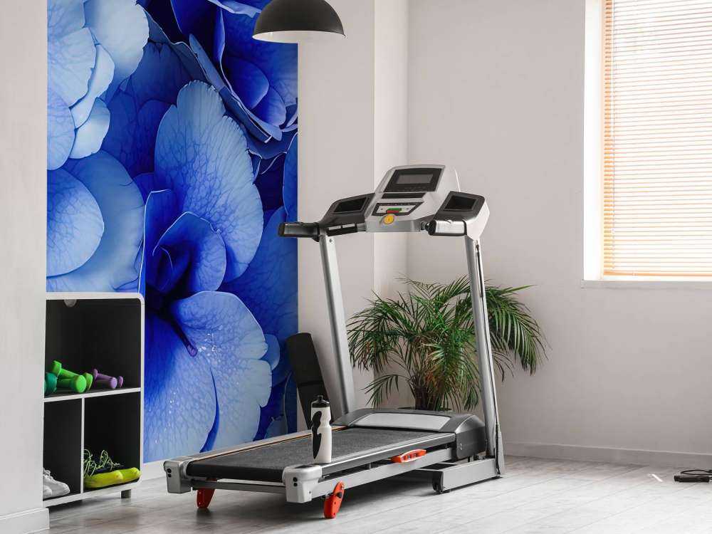 Nærbilde av blå hortensiaer