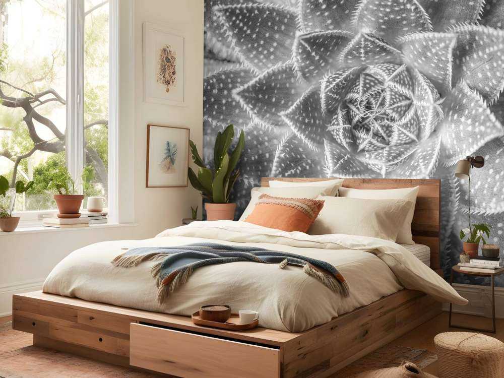 Nærbilde sukkulent plante