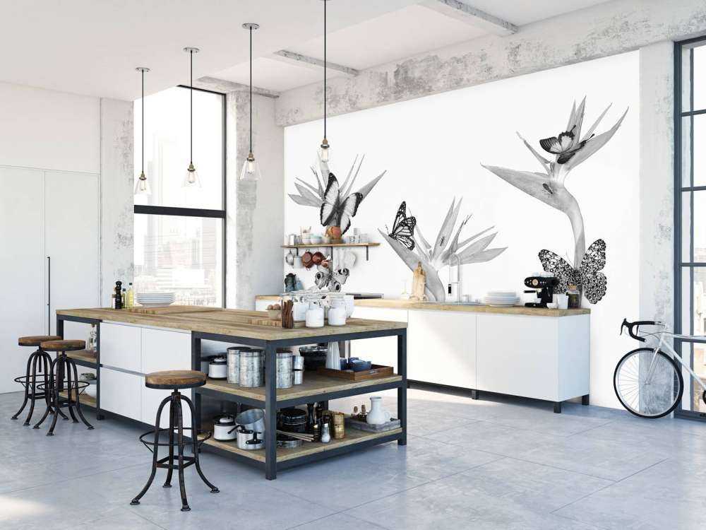 Sommerfugler på paradisfuglblomster