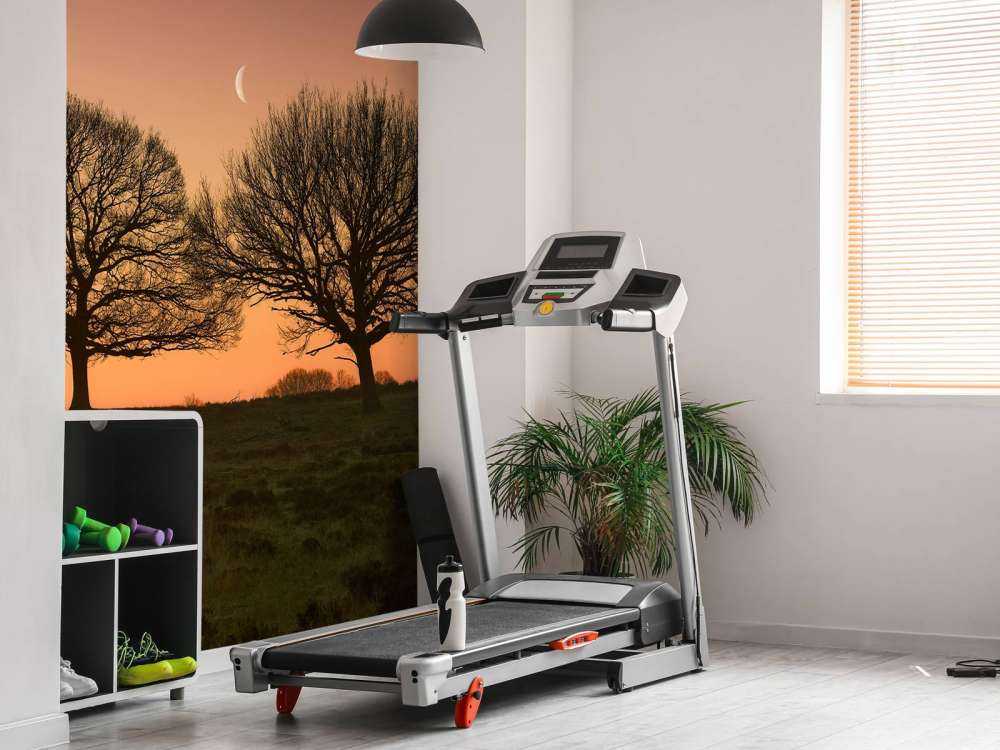 Maantje tussen de bomen