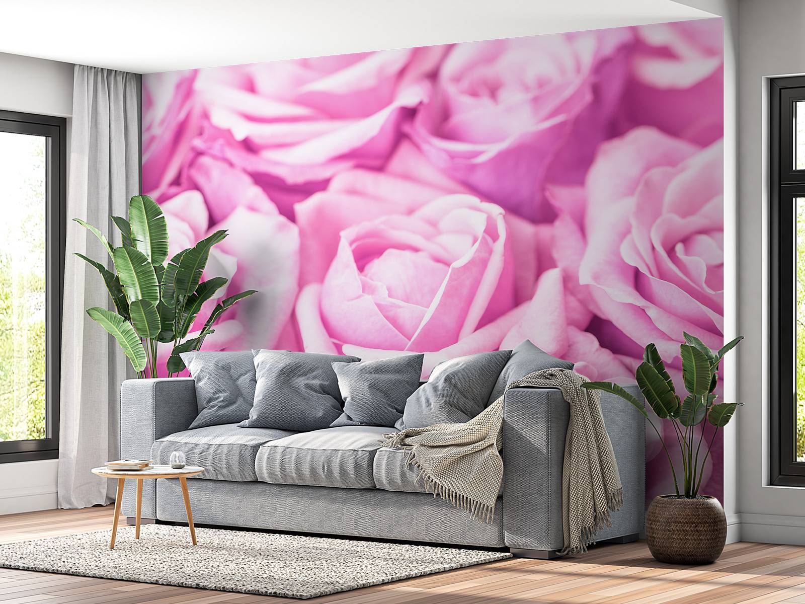 Roses