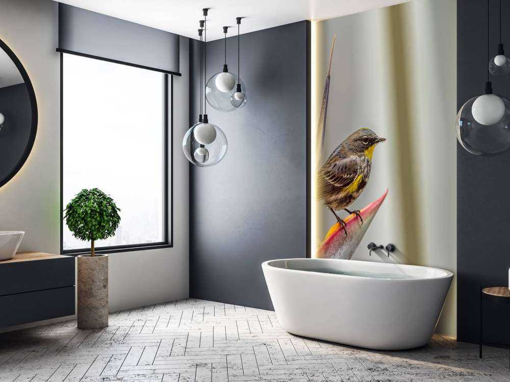 Paradisblomst med fugl