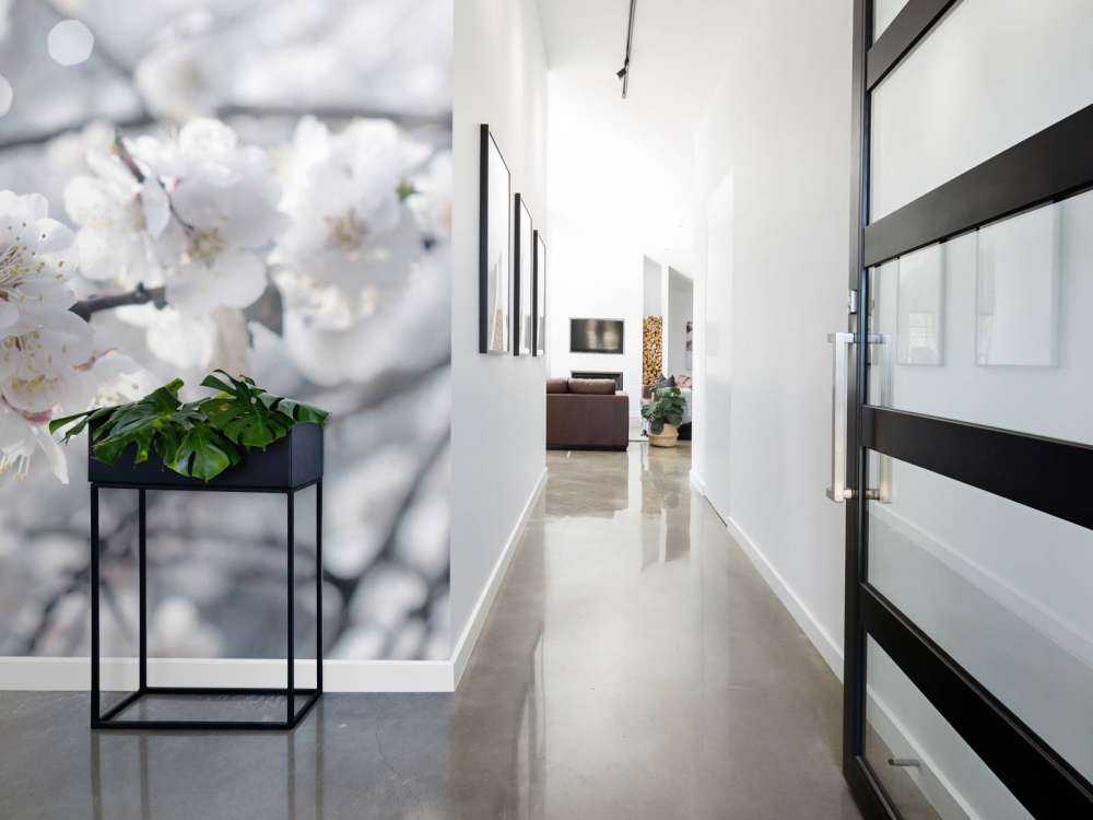 Sommerfugl med hvite blomster