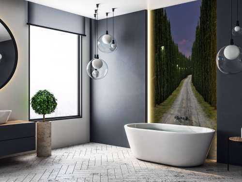 Cypress om kvelden