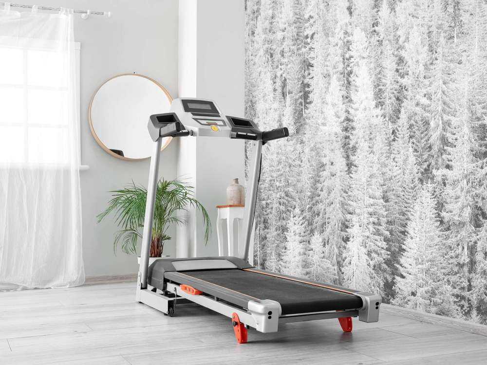 Bartrær i svart og hvitt