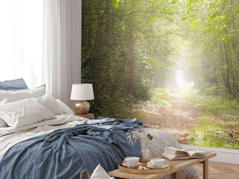 Sti gjennom tåkete skog