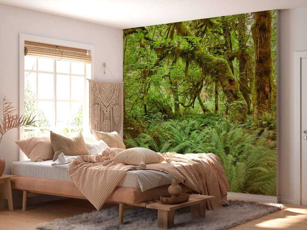 Bregner i en gammel skog