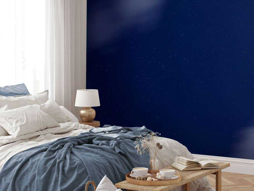 Stjerneklar natt