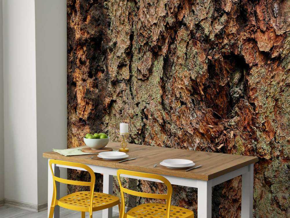 Trebark gammelt treverk