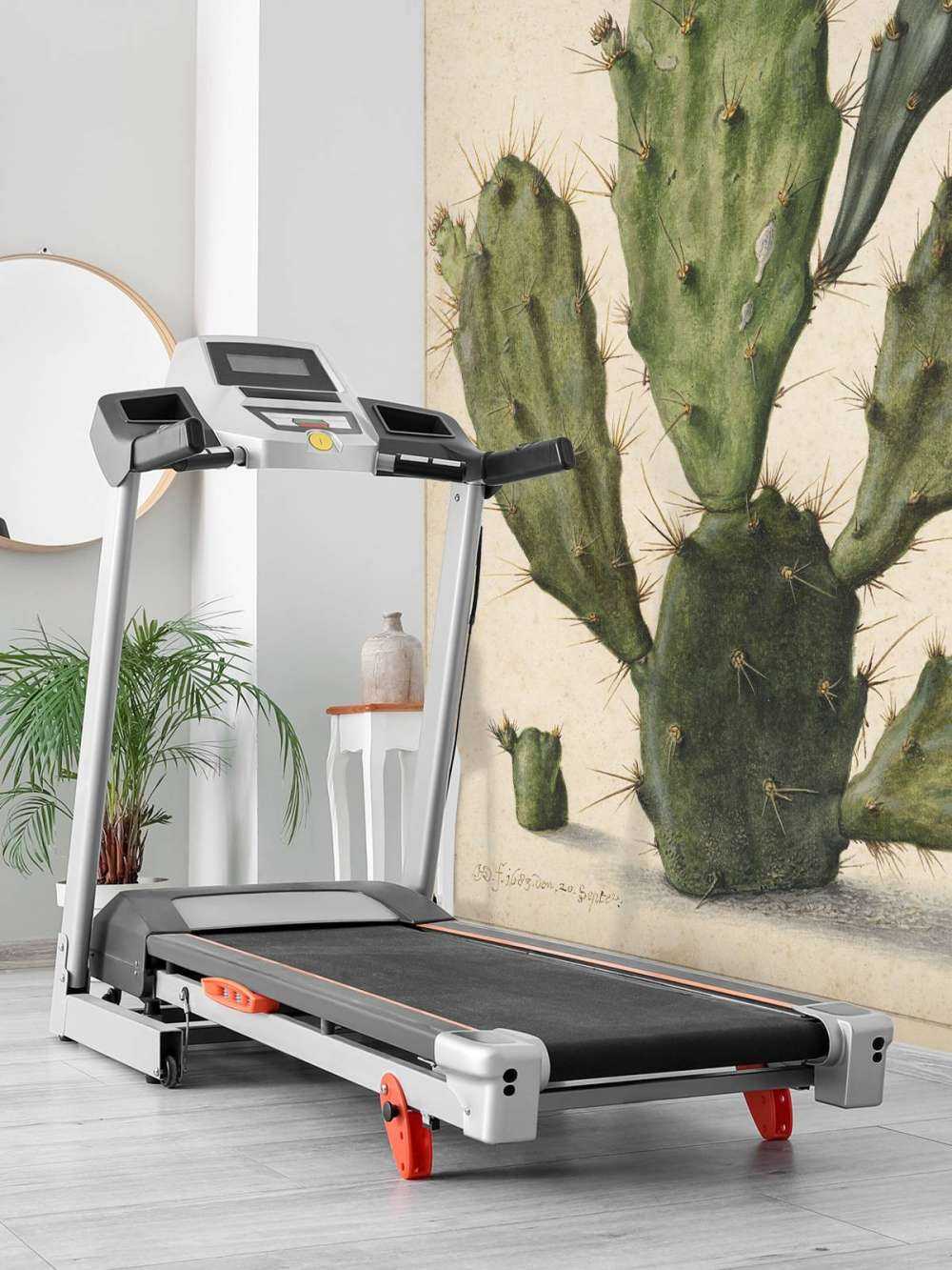 Blomstrende fikenkaktus