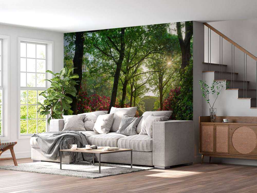 Soloppgang med sti med rododendroner