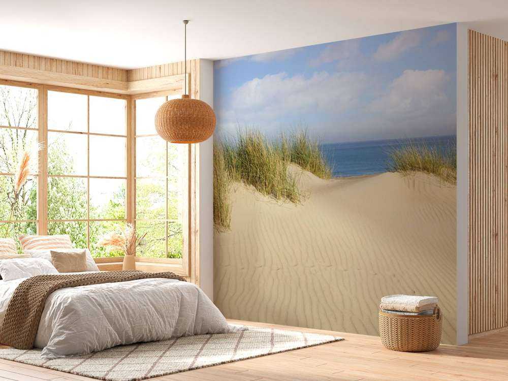 Dune går til stranden