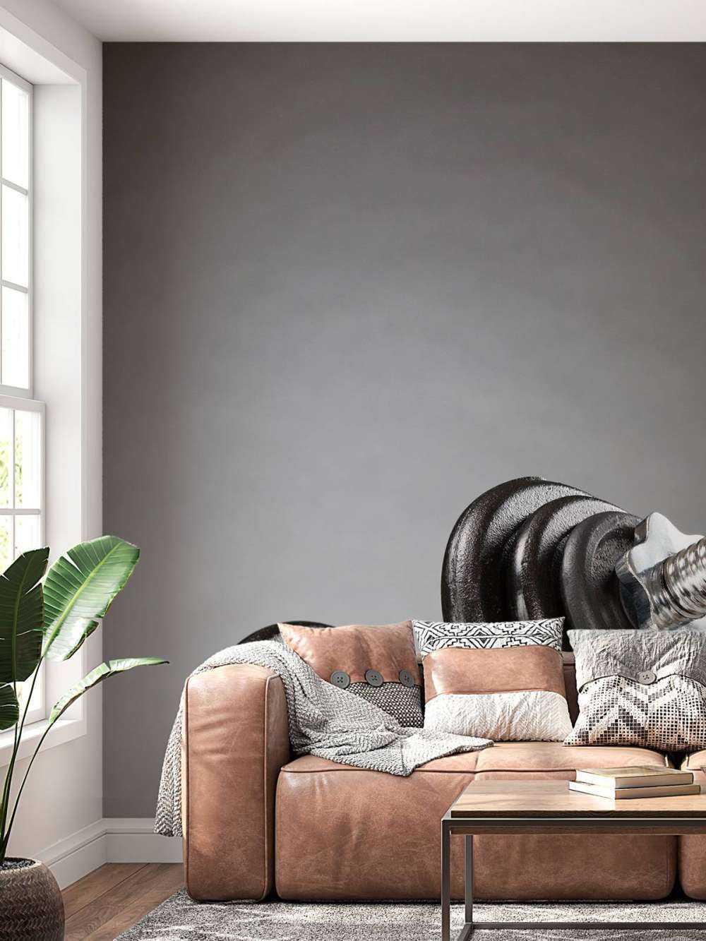 Hantel med svarte plater