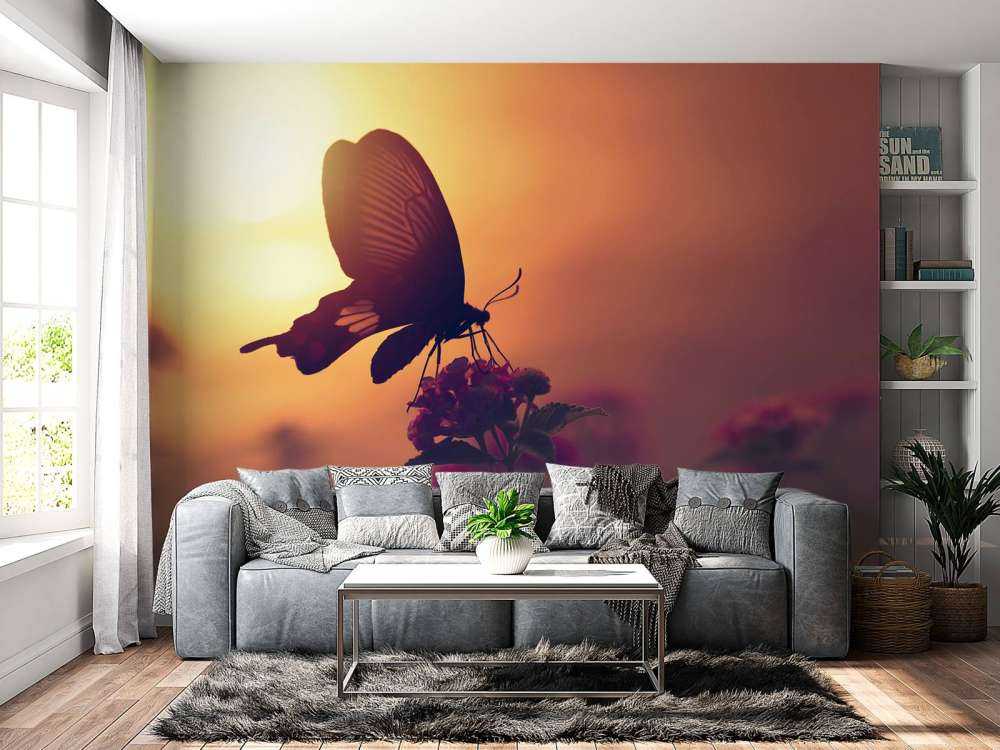 Sommerfugl med solnedgang