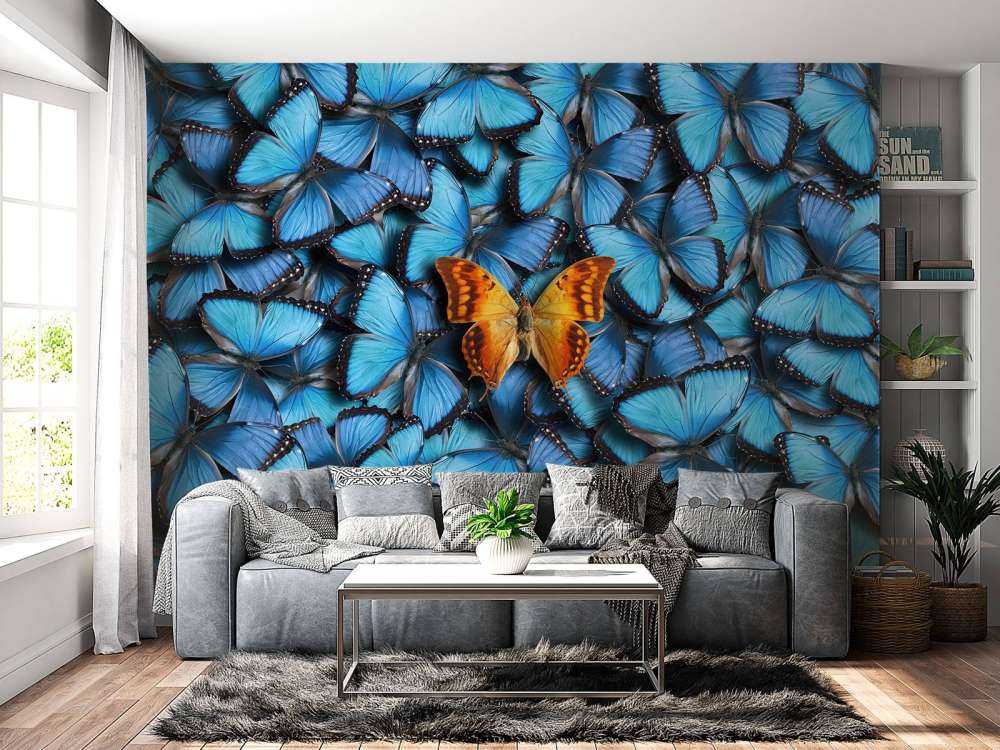 sommerfugl komposisjon