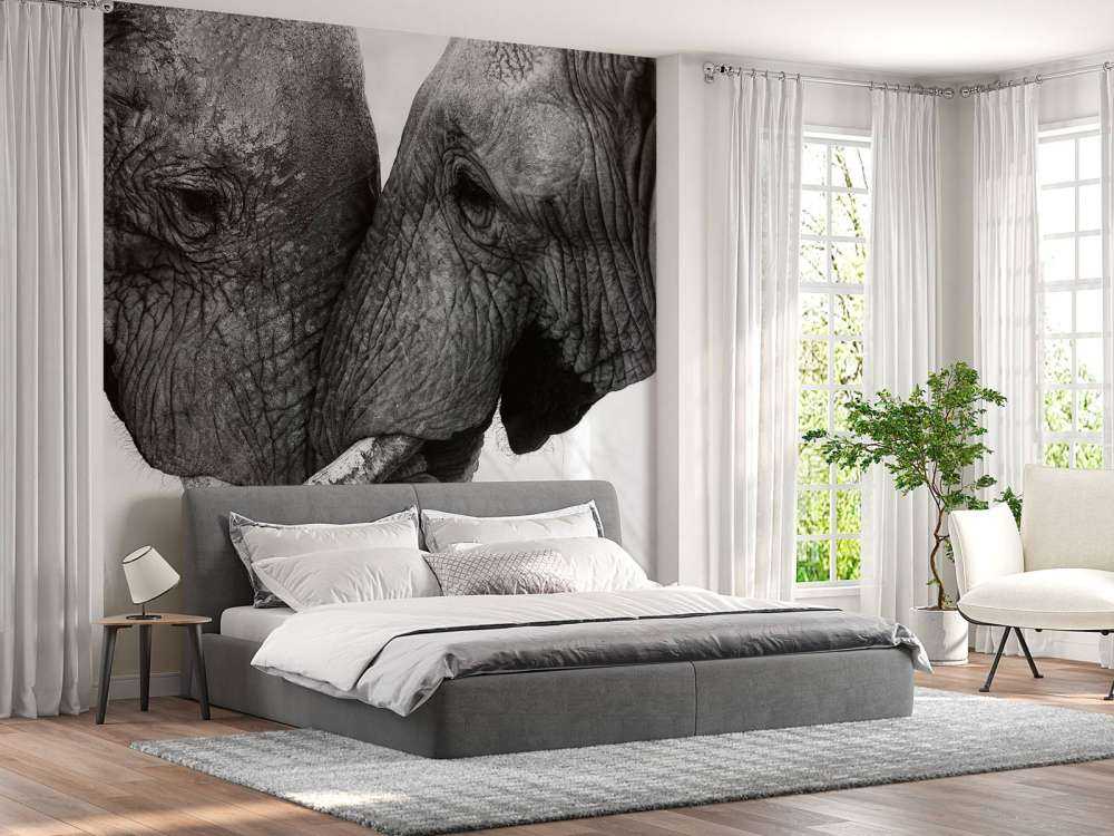 Fototapet elefanter