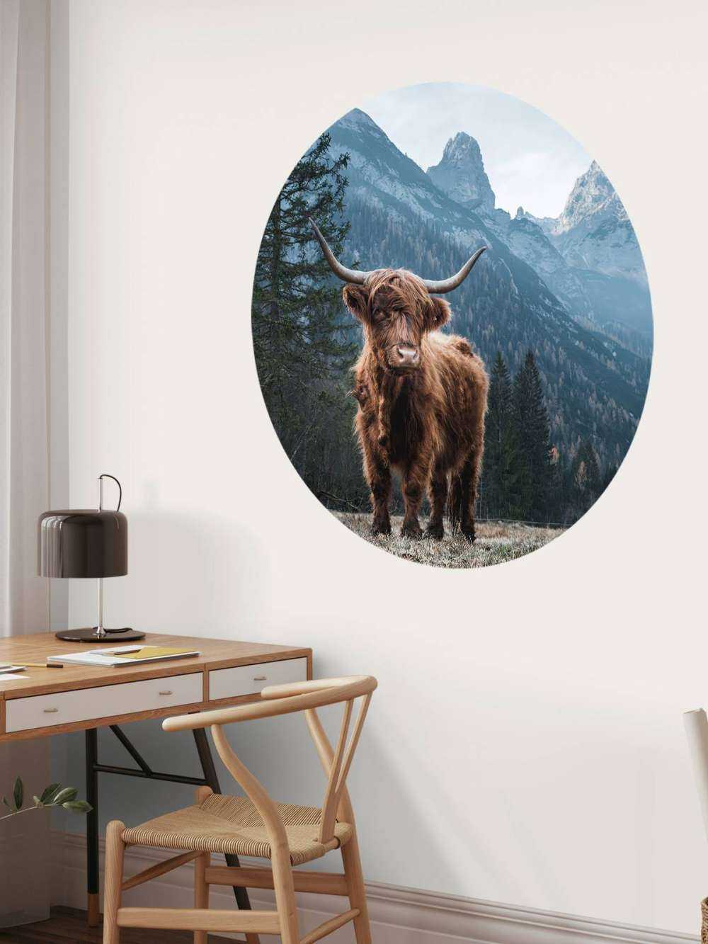 Det skotske høylandet blant trærne