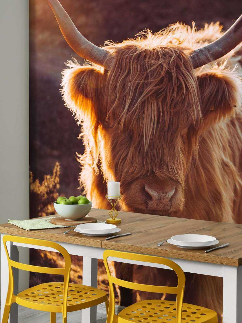 Det skotske høylandet i solen