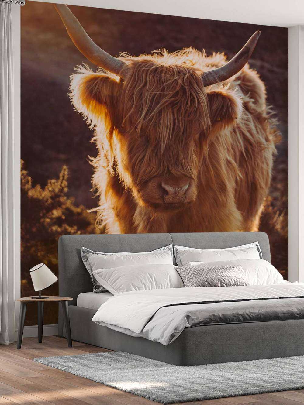 Det skotske høylandet i solen