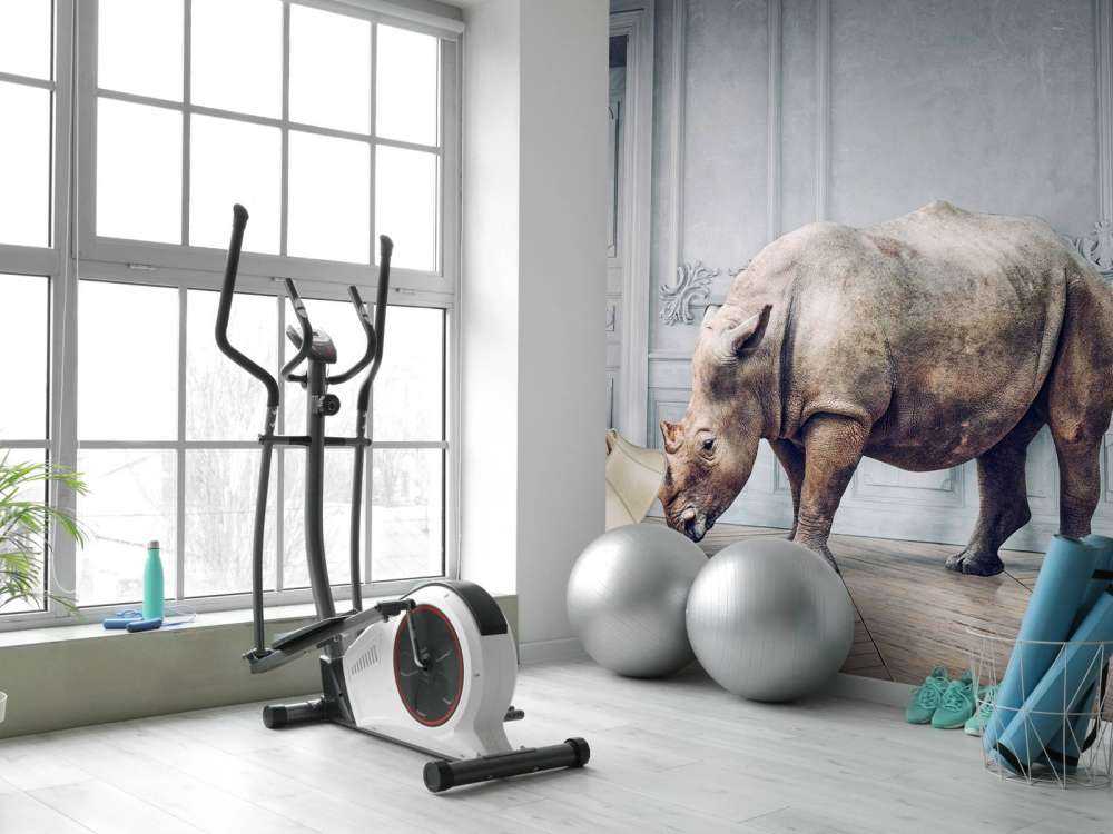 Neshorn med lampeskjerm