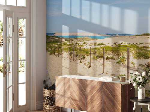Sti til stranden
