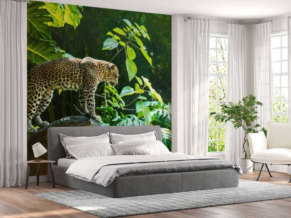 Leopard på en klippe