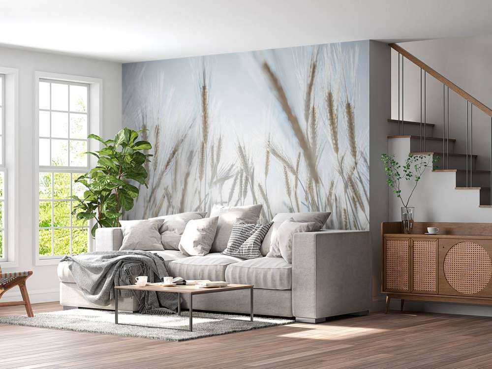 Solstråler gennem kornet