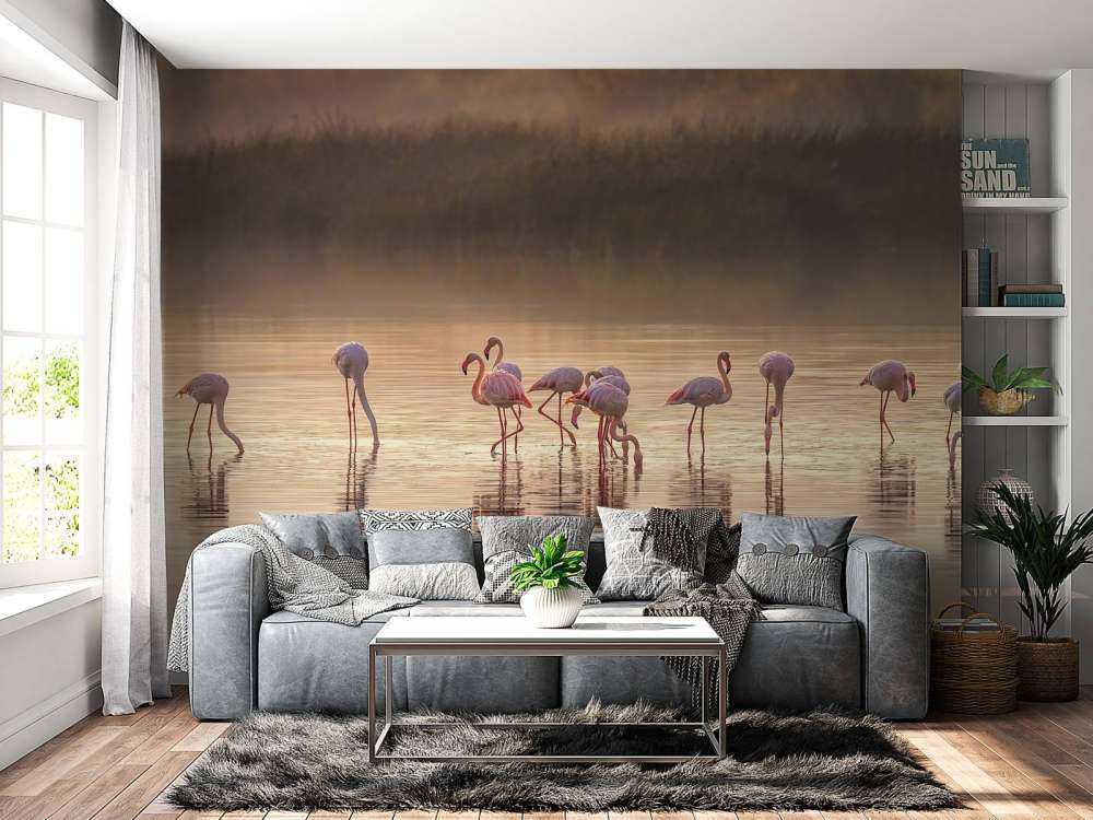 Fotografisk ode til Monet